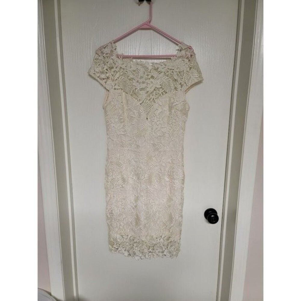 womens lace ever after dress - size large
